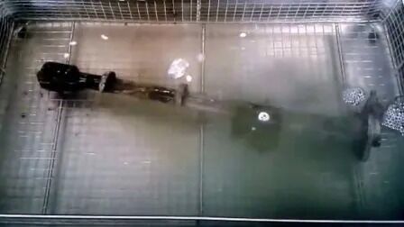 Цифровой нагреватель Таймер Нержавеющая промышленная автомобильная деталь Ультразвуковая очистка Jp-480st